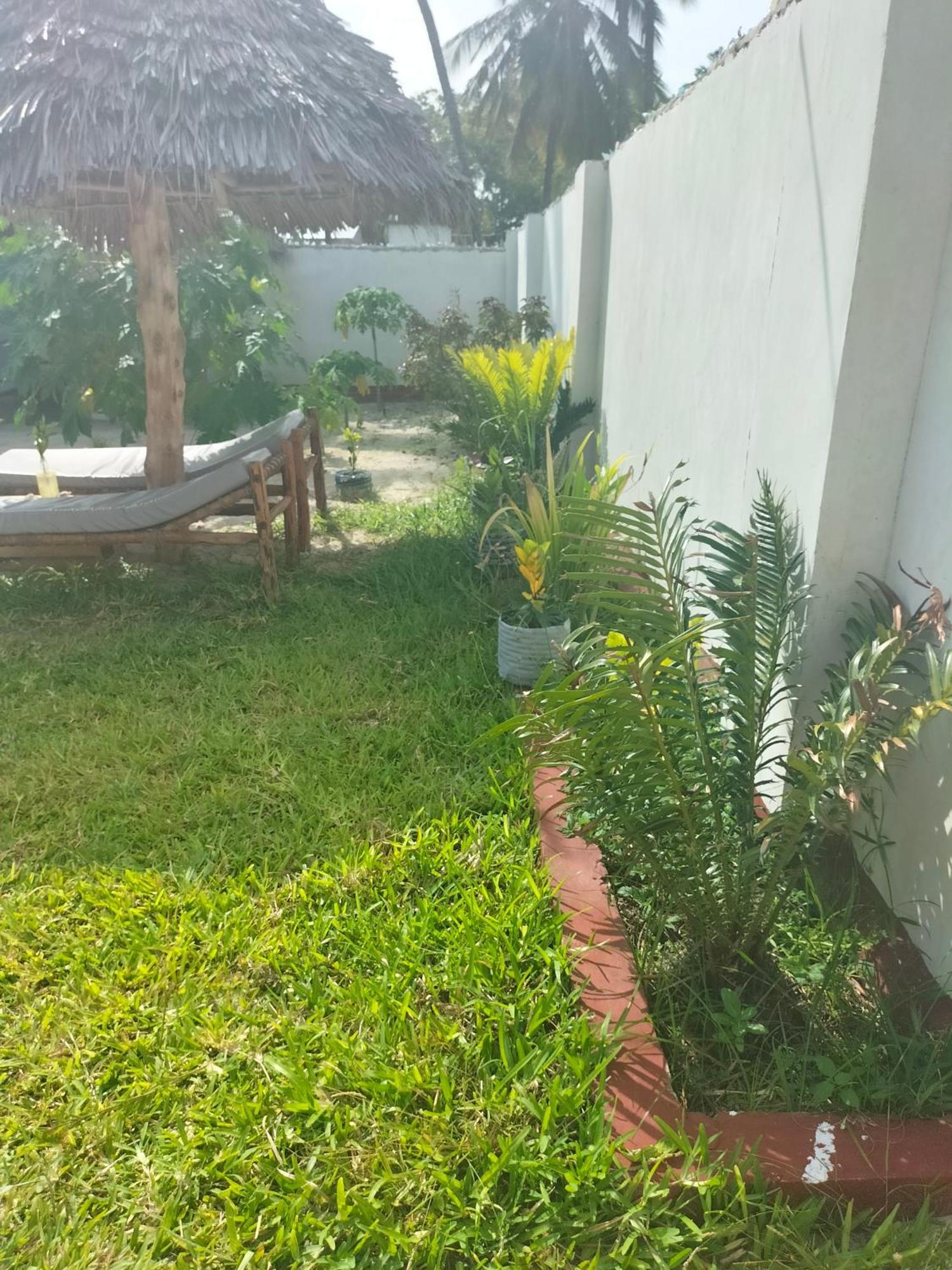 Mambo Leo Hostel Paje Exterior foto