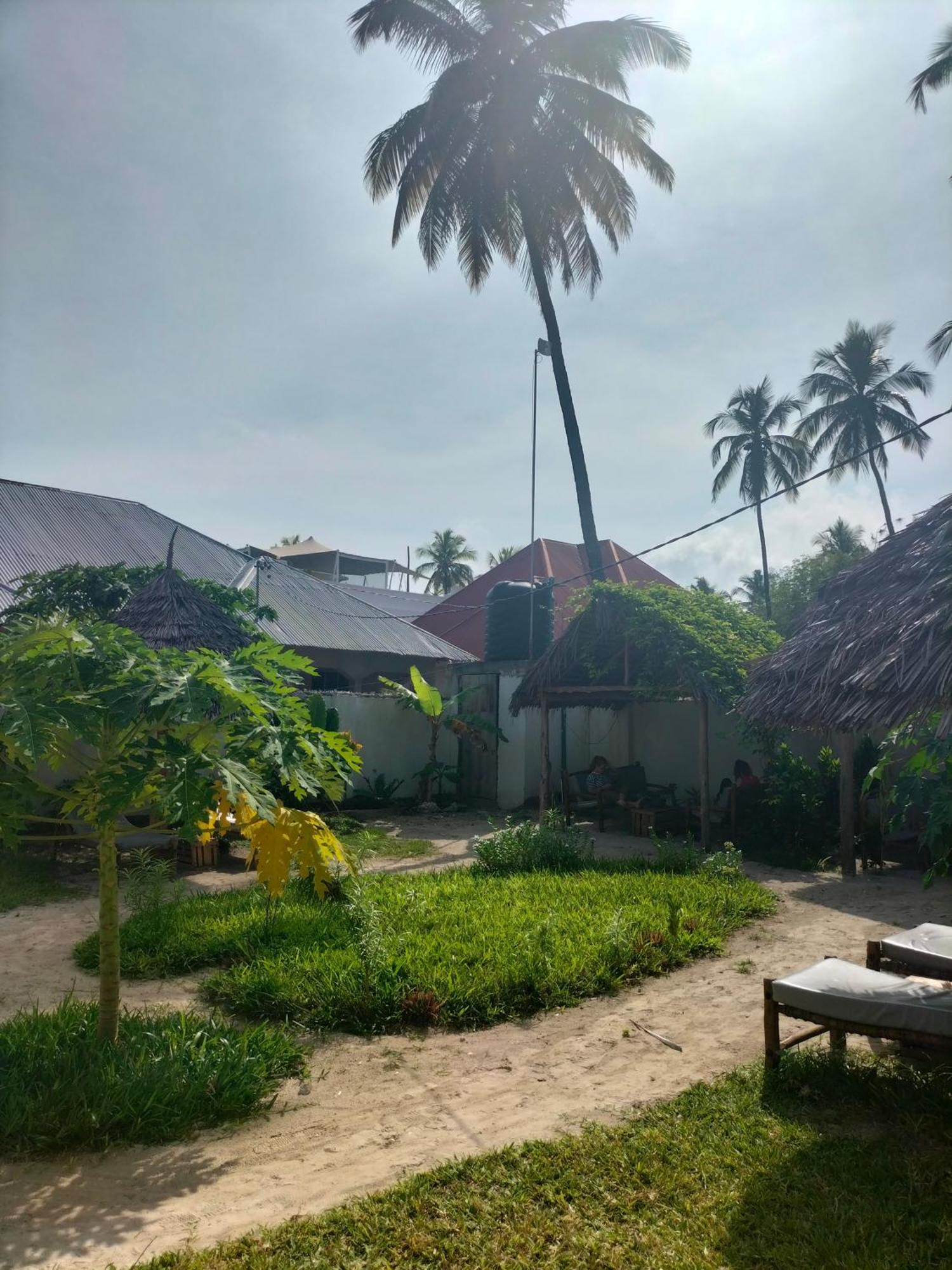 Mambo Leo Hostel Paje Exterior foto